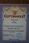 Мои дипломы